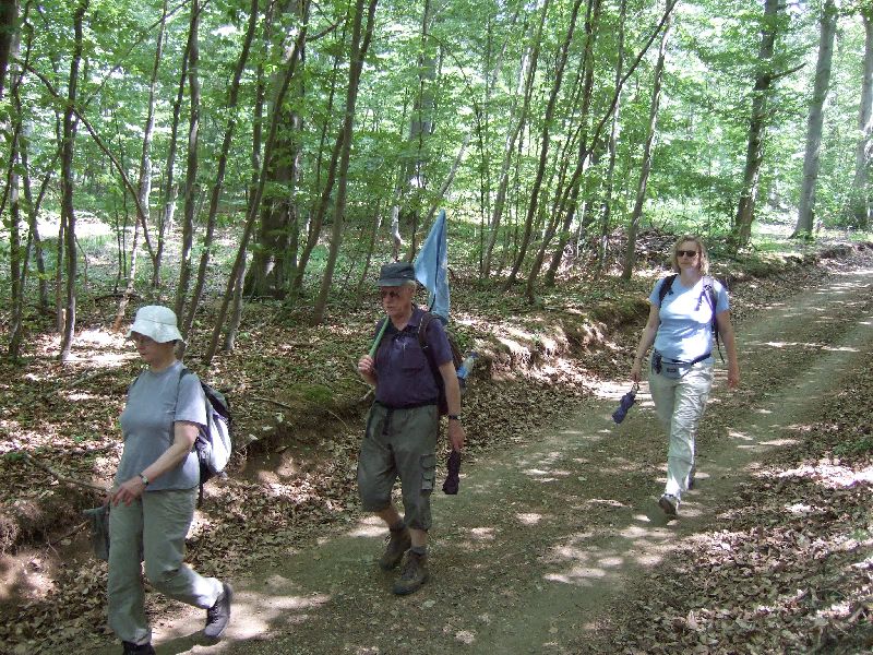 2011- 091.jpg